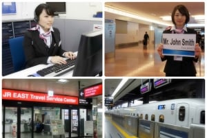 Tokyo: Narita Airport Meet-and-Greet Service