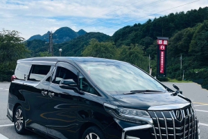 Tokion Narita/Haneda-lentokentän yksityinen kuljetus