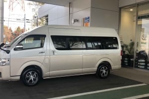 Tokyo: Narita Private Transfer to Tokyo City (10Seater)