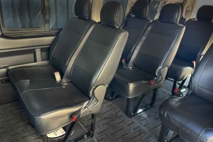 Tokyo: Narita privat transport til Tokyo City (10 seter)