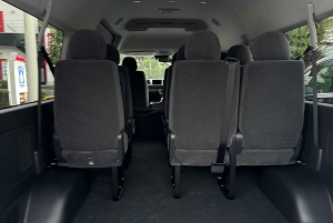 Tokyo: Narita privat transport til Tokyo City (10 seter)