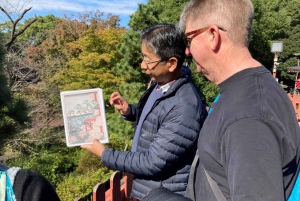 Tokio: Kansallismuseo ja ukiyo-e-taiteen historia -yksityiskierros Uenossa