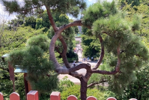 Tokio: Kansallismuseo ja ukiyo-e-taiteen historia -yksityiskierros Uenossa