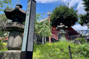 Tokio: Kansallismuseo ja ukiyo-e-taiteen historia -yksityiskierros Uenossa