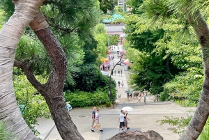 Tokio: Kansallismuseo ja ukiyo-e-taiteen historia -yksityiskierros Uenossa
