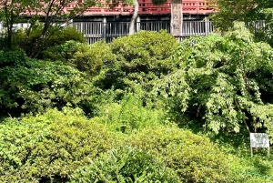 Tokio: Kansallismuseo ja ukiyo-e-taiteen historia -yksityiskierros Uenossa