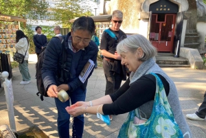 Tokio: Kansallismuseo ja ukiyo-e-taiteen historia -yksityiskierros Uenossa