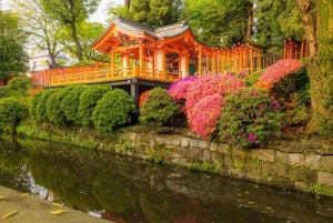 Tokyo: Nezu Shrine Guided Tour with Azalea Festival