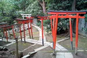 Tokyo: Nezu Shrine Guided Tour with Azalea Festival
