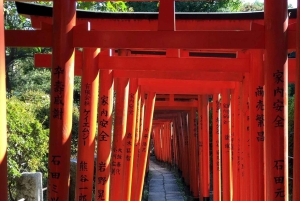 Tokyo: Nezu Shrine Guided Tour with Azalea Festival