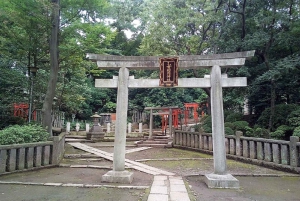 Tokyo: Nezu Shrine Guided Tour with Azalea Festival