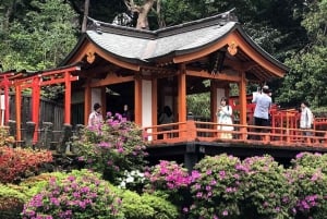 Tokyo: Nezu Shrine Guided Tour with Azalea Festival