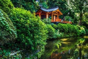 Tokyo: Nezu Shrine Guided Tour with Azalea Festival