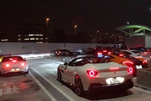 Tokyo: Legendarisk JDM CAR TOUR Daikoku Underground Meetup