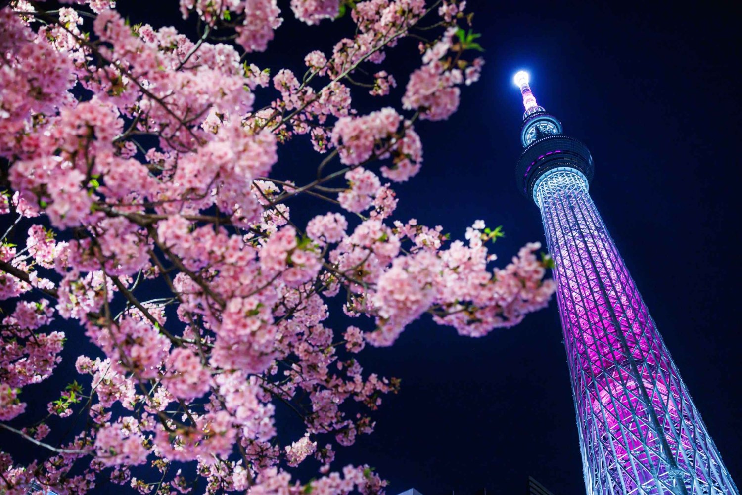 Magia notturna di Tokyo: Tour in auto di lusso con comodo ritiro
