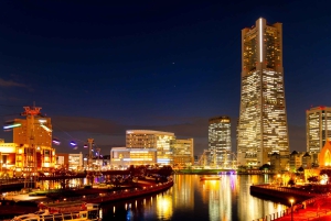 Tokyo Night Magic: Luxury Car Tour with Convenient Pickup