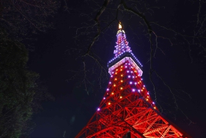Tokyo Night Magic: Luxury Car Tour with Convenient Pickup