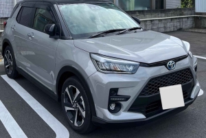 Tokyo Night Magic: Luxury Car Tour with Convenient Pickup