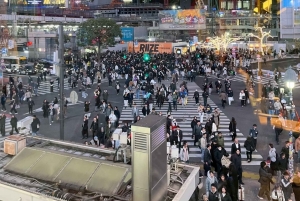 Tokyo Night Walk: Shibuya & Shinjuku Hidden Alleys