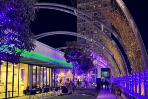 Tokyo Night Walk: Shibuya & Shinjuku Hidden Alleys