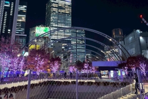 Tokyo Night Walk: Shibuya & Shinjuku Hidden Alleys