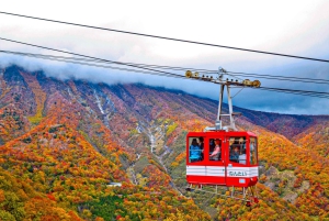 Tokio: Nikko im Herbst, Irohazaka, Kegon-Wasserfälle und Watarase-Bahn