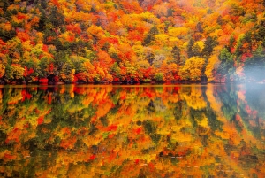 Tokio: Nikko im Herbst, Irohazaka, Kegon-Wasserfälle und Watarase-Bahn