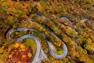 Tokio: Nikko im Herbst, Irohazaka, Kegon-Wasserfälle und Watarase-Bahn