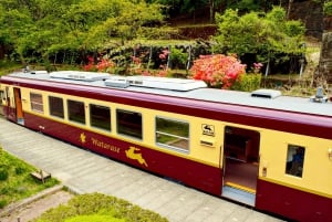 Tokio: Nikko im Herbst, Irohazaka, Kegon-Wasserfälle und Watarase-Bahn