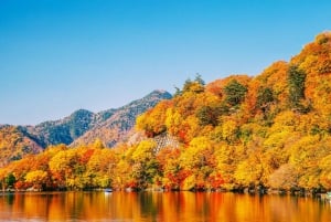 Tokio: Nikko im Herbst, Irohazaka, Kegon-Wasserfälle und Watarase-Bahn