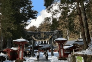 Tóquio: Excursão de um dia a Nikko, santuários, Lago Chūzenji e Cataratas Kegon