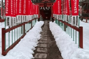 Tóquio: Excursão de um dia a Nikko, santuários, Lago Chūzenji e Cataratas Kegon