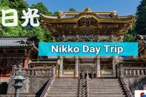 Tóquio: Excursão de um dia a Nikko com motorista em inglês e flexível...