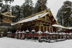 Tóquio: Excursão de um dia a Nikko com motorista em inglês e flexível...