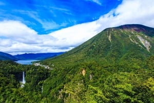 Tóquio: Excursão de um dia a Nikko com motorista em inglês e flexível...