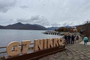 Tóquio: Excursão de um dia a Nikko com motorista em inglês e flexível...