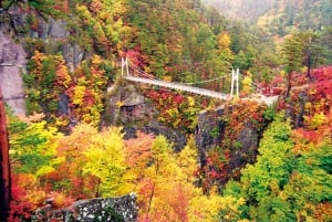 Tokio: excursión de un día a Nikko con conductor en inglés y horario flexible...