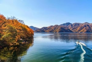 Tokio: excursión de un día a Nikko con conductor en inglés y horario flexible...