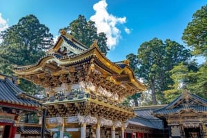Tokio: excursión de un día a Nikko con conductor en inglés y horario flexible...