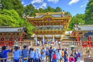 Tokio: excursión de un día a Nikko con conductor en inglés y horario flexible...