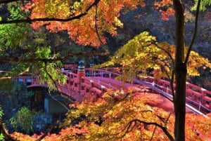 Tokio: excursión de un día a Nikko con conductor en inglés y horario flexible...