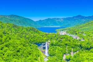 Tokio: excursión de un día a Nikko con conductor en inglés y horario flexible...