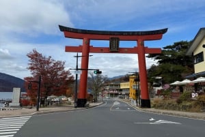 Tokio: excursión de un día a Nikko con conductor en inglés y horario flexible...