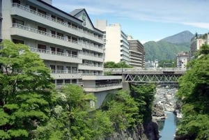 Tóquio: tour particular de 2 dias a Nikko e Karuizawa com estadia em ryokan