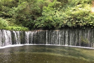 Tóquio: tour particular de 2 dias a Nikko e Karuizawa com estadia em ryokan