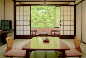 Tóquio: tour particular de 2 dias a Nikko e Karuizawa com estadia em ryokan