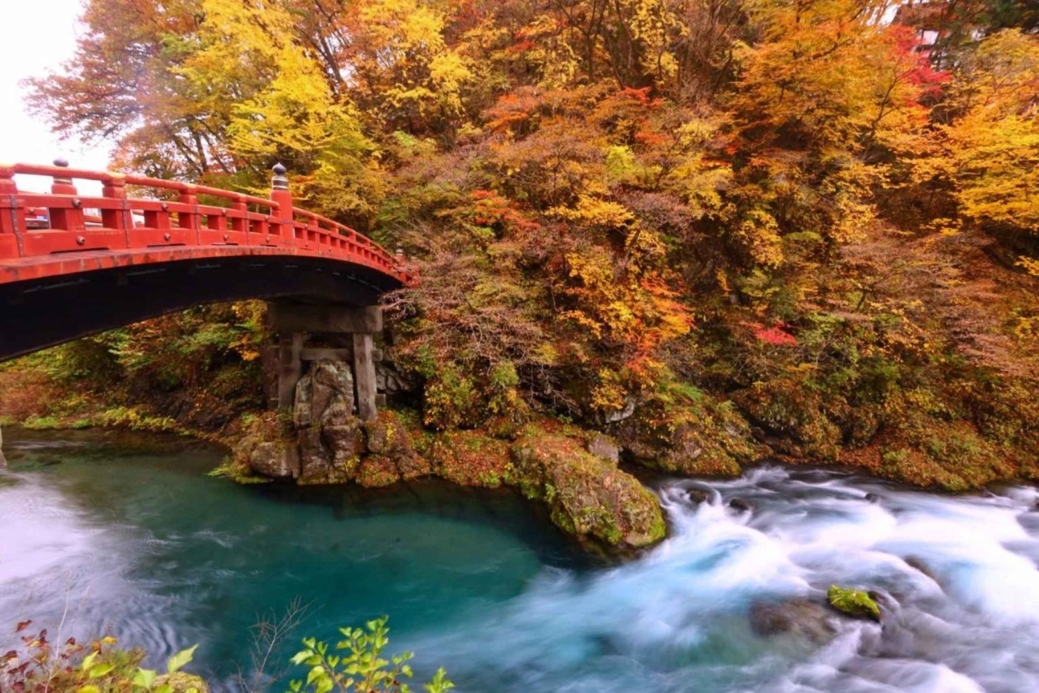 Токио: частный тур по Никко на один день с учетом ваших интересов