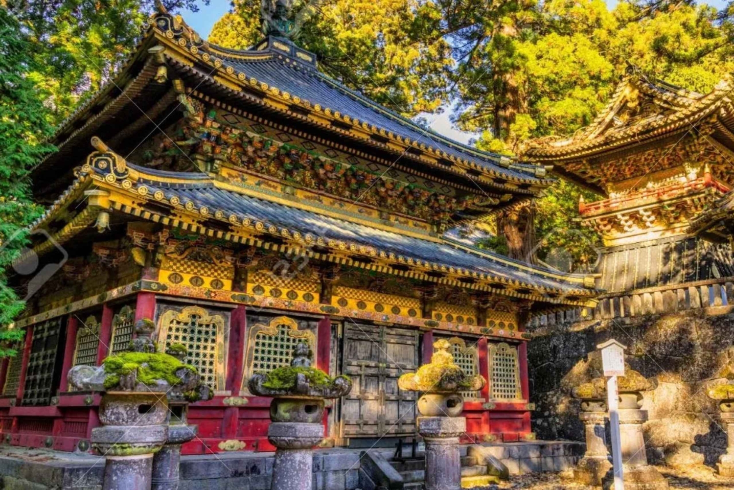 Токио: частный тур по Никко на один день с учетом ваших интересов