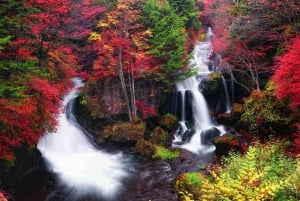 Tokyo: Nikko Private Day Tour with English Speaking Driver