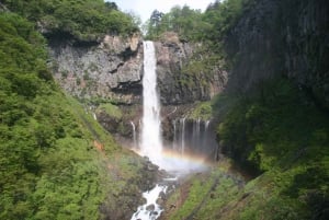 Tokyo: Nikko Private Day Tour with English Speaking Driver